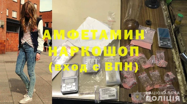 молекула духа Ельня