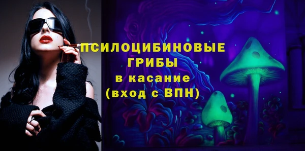 молекула духа Ельня
