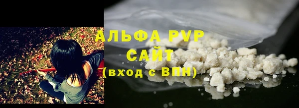молекула духа Ельня
