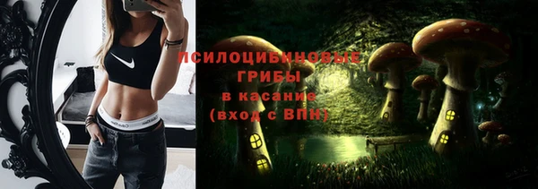 Альфа ПВП Елизово