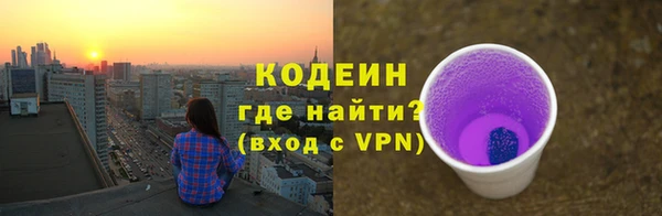 молекула духа Ельня