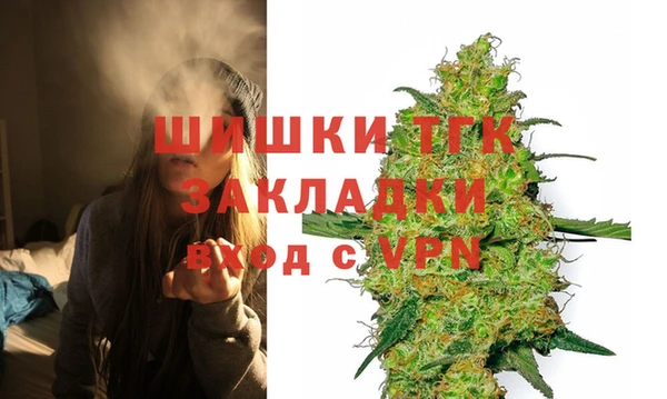 молекула духа Ельня
