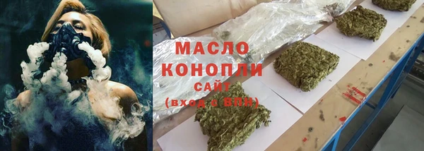 молекула духа Ельня