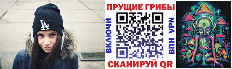 Купить закладки  Кубинка  Псилоцибиновые грибы прущие грибы 